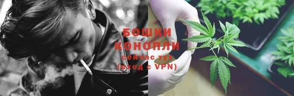 соль ск Абаза