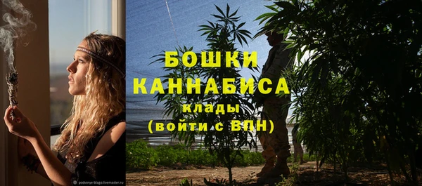 соль ск Абаза